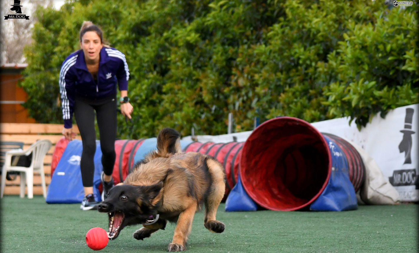 Agility